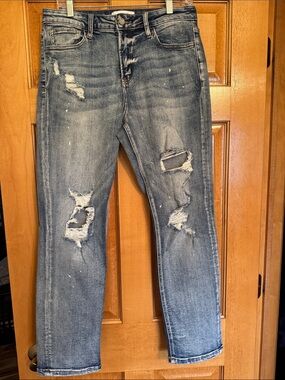 NWOT Women's Vervet Straight Leg Distressed Jeans in Washed Blue - 29
